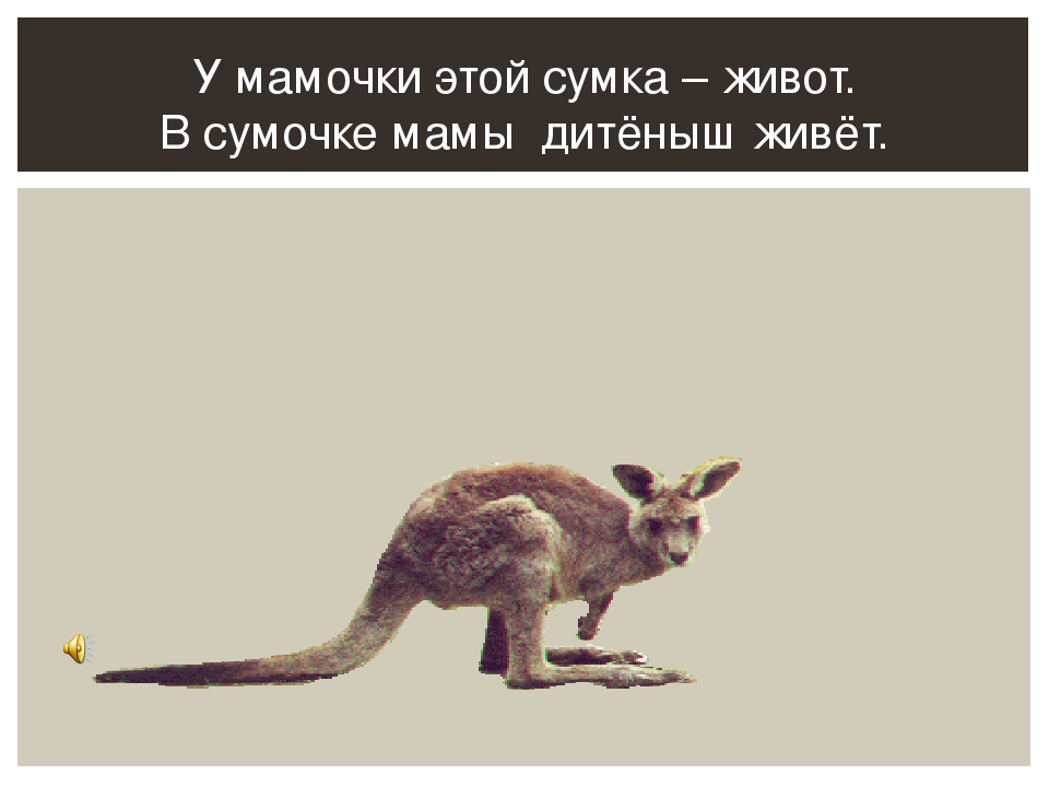 "Карнавал животных" Анимированная презентация. Цель: знакомство с музыкой К. Сен - Санса "Карнавал животных".