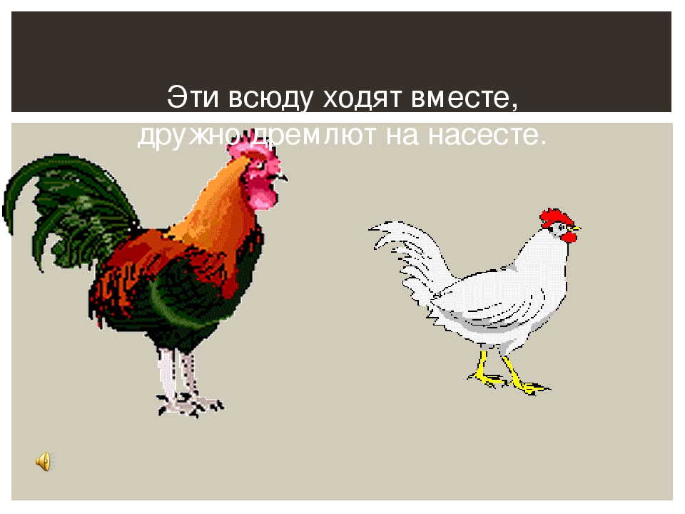 "Карнавал животных" Анимированная презентация. Цель: знакомство с музыкой К. Сен - Санса "Карнавал животных".