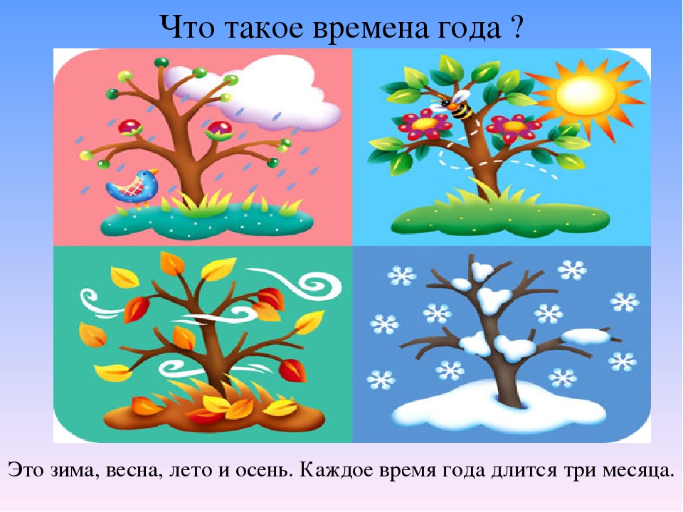 Презентация на тему "Времена года"