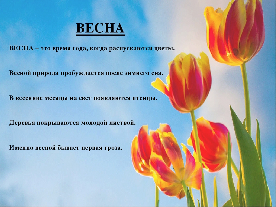 Презентация на тему "Времена года"