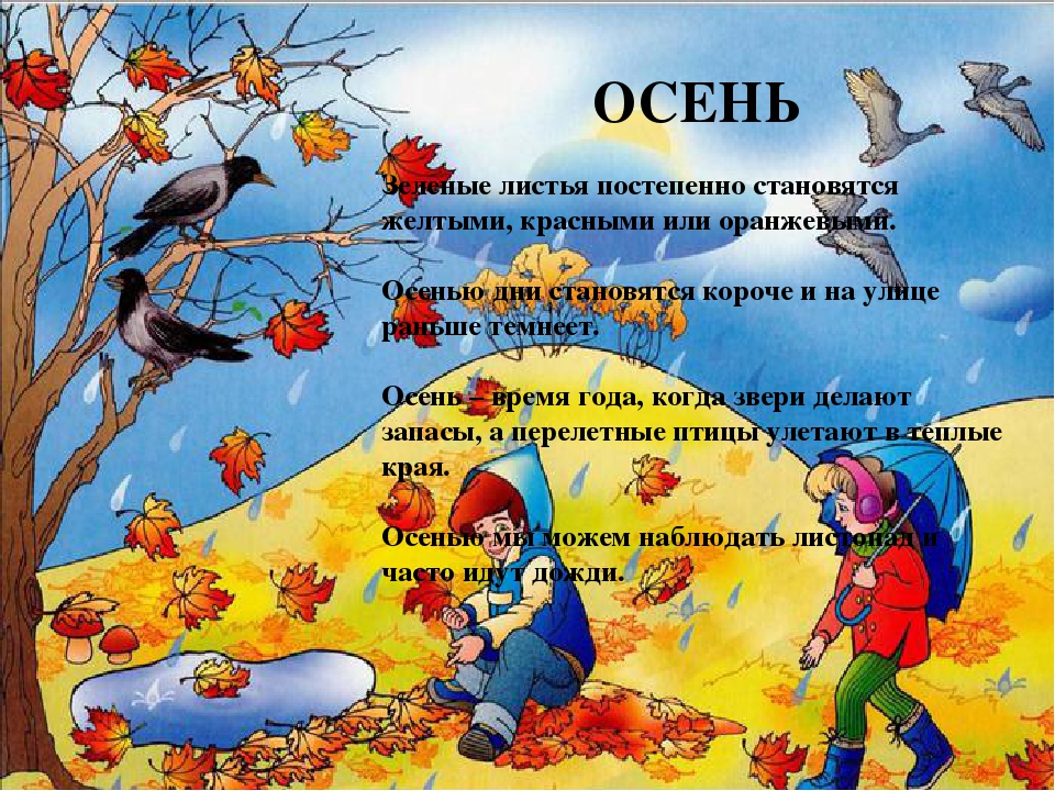 Презентация на тему "Времена года"