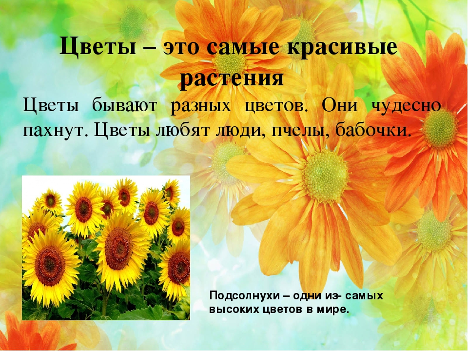 Презентация на тему "Растения"