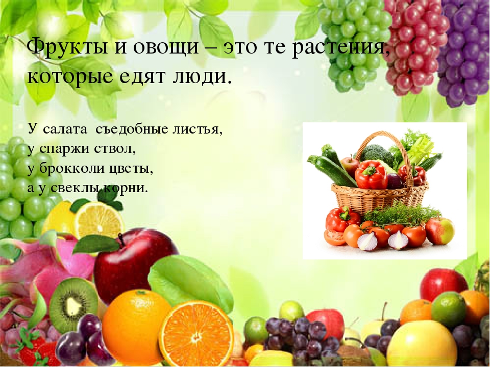 Презентация на тему "Растения"