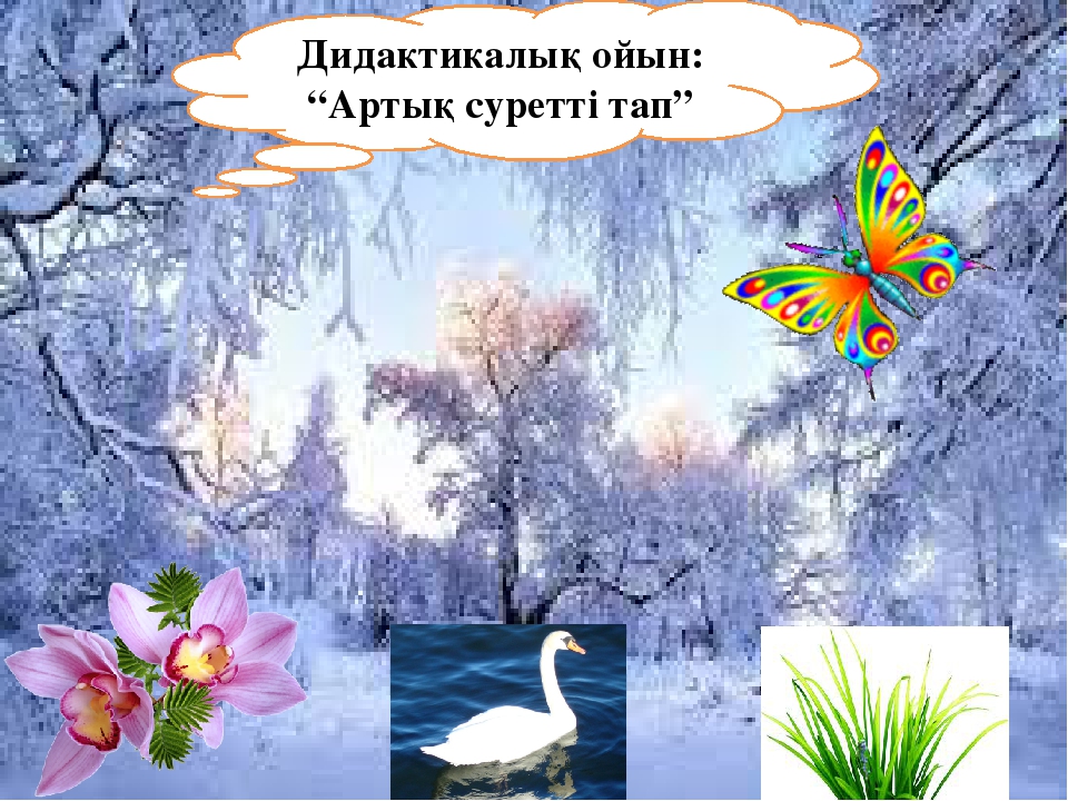 Презентация урока по коммуникации
