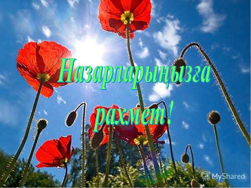Презентация урока по коммуникации