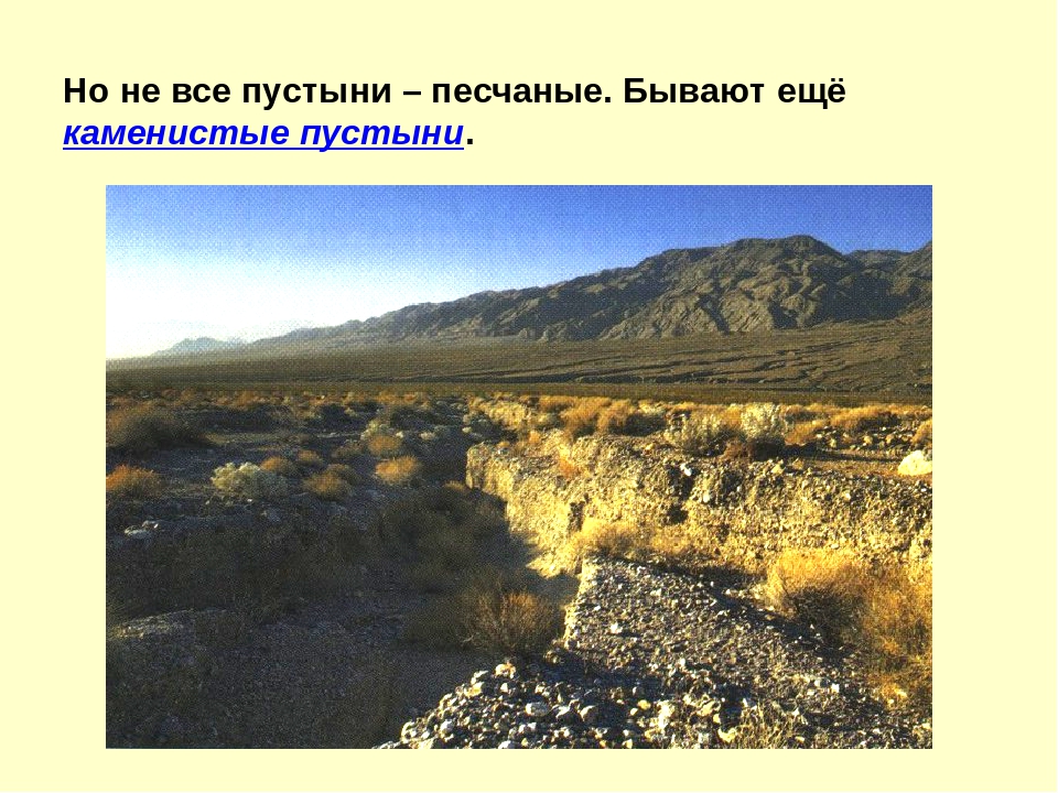 Презентация на тему "Пустыня"