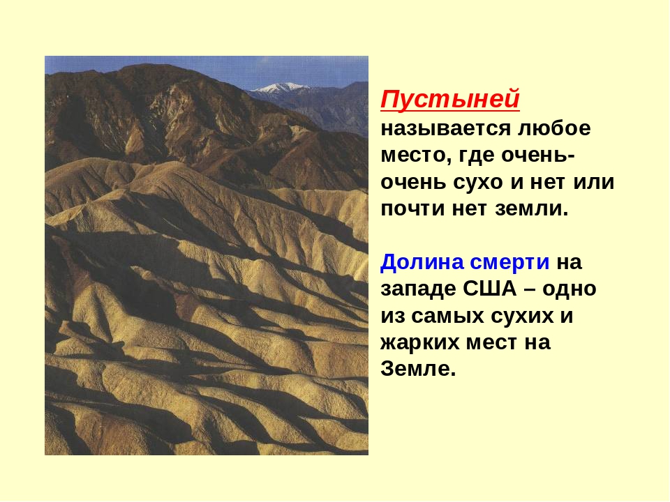 Презентация на тему "Пустыня"