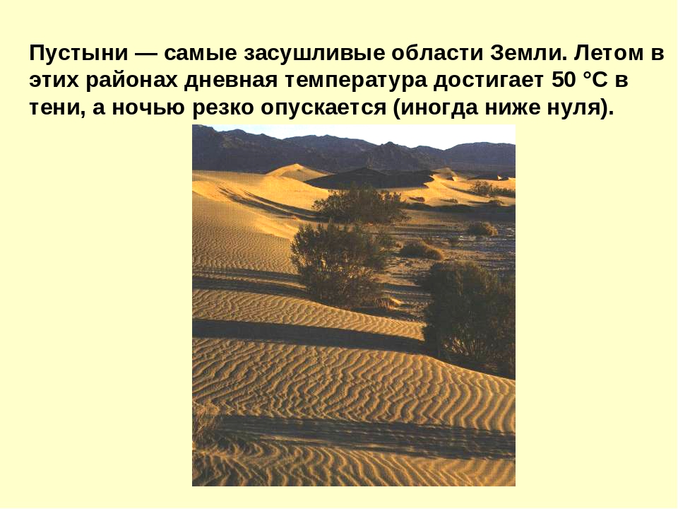 Презентация на тему "Пустыня"
