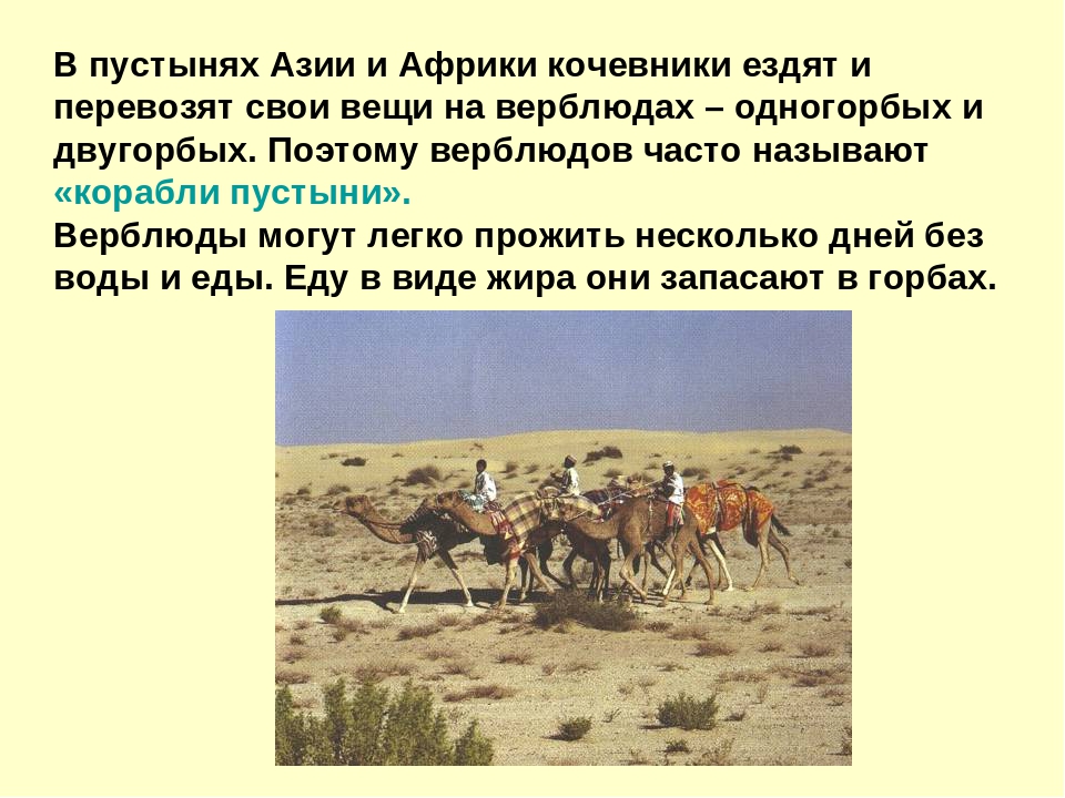 Презентация на тему "Пустыня"