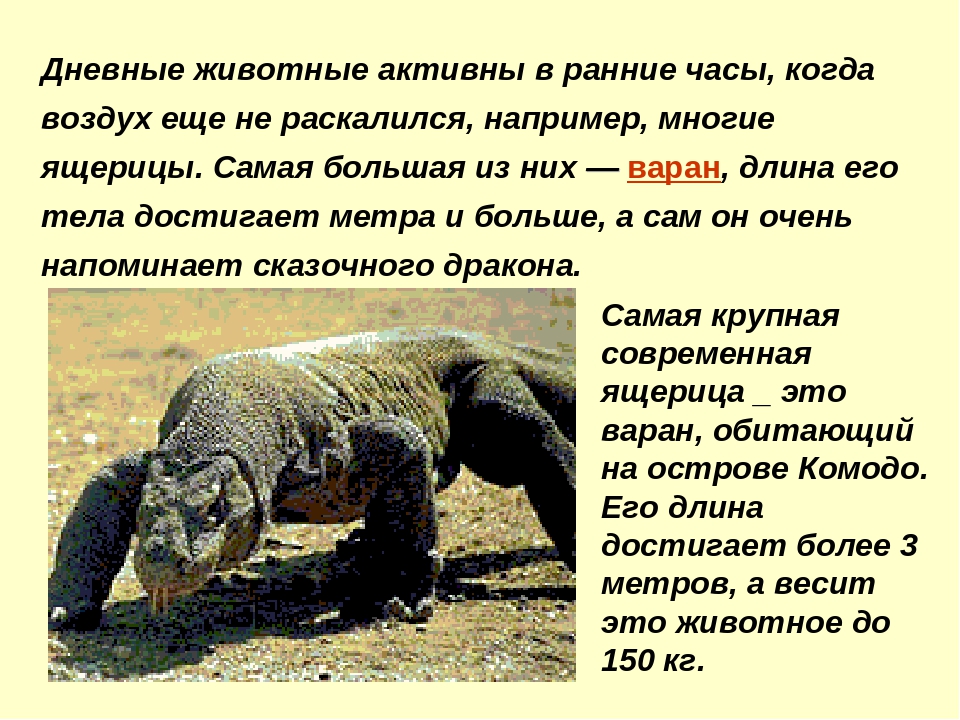 Презентация на тему "Пустыня"