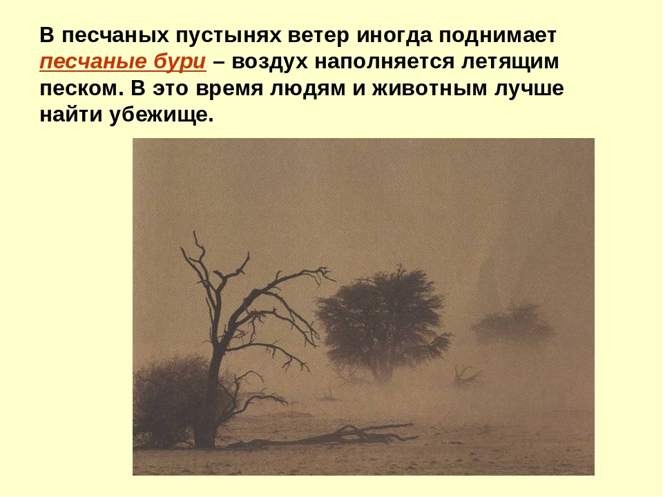 Презентация на тему "Пустыня"