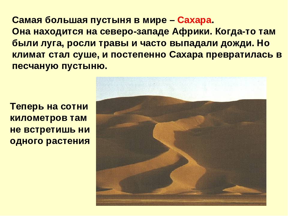 Презентация на тему "Пустыня"