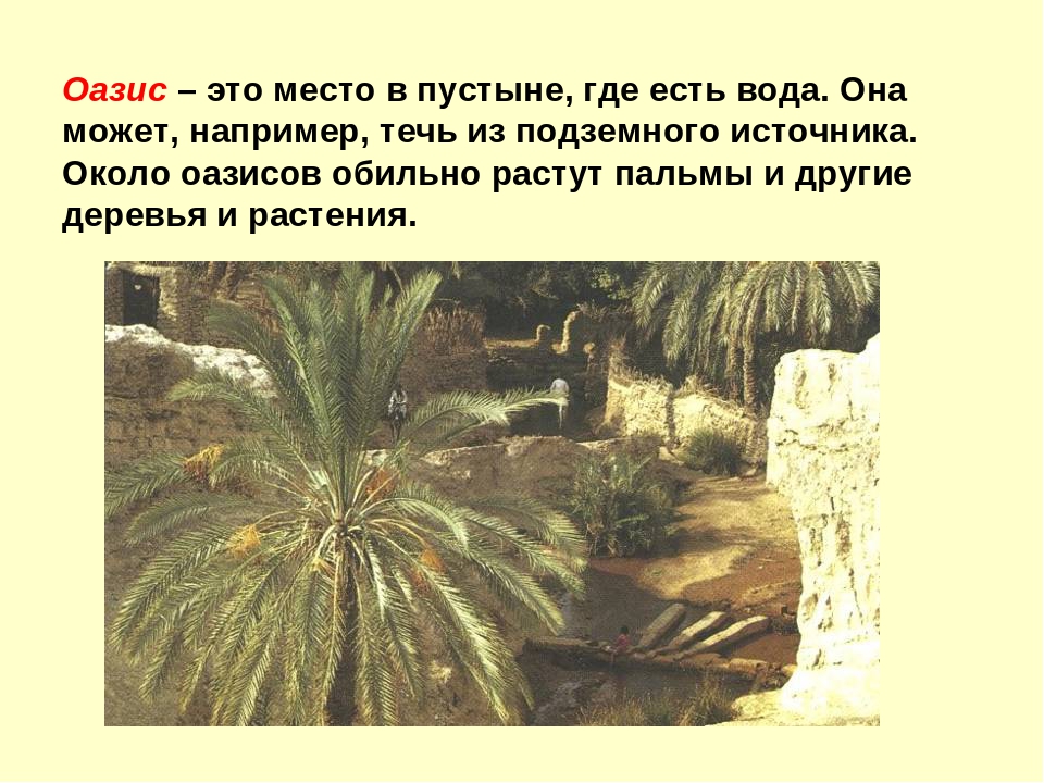 Презентация на тему "Пустыня"
