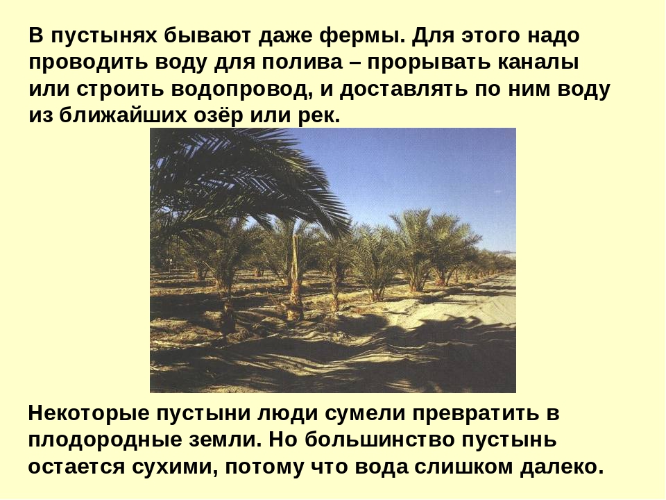 Презентация на тему "Пустыня"