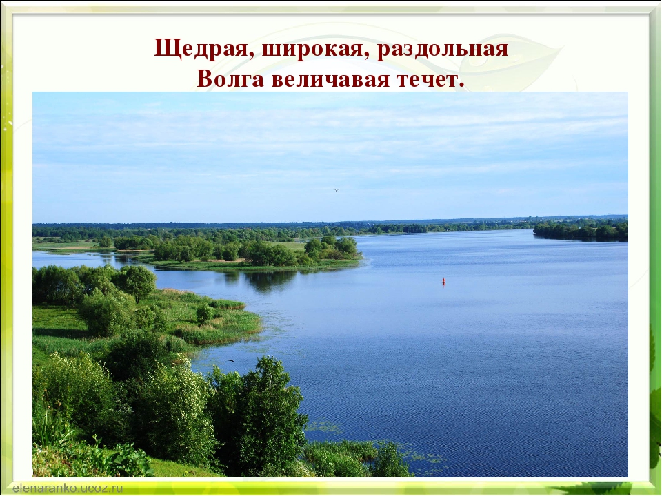 Презентация по экологии "Природа родного края"