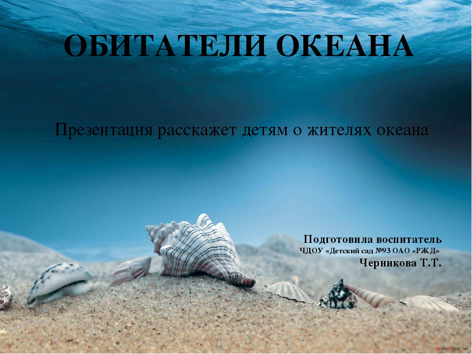 Презентация на тему "Обитатели океана"