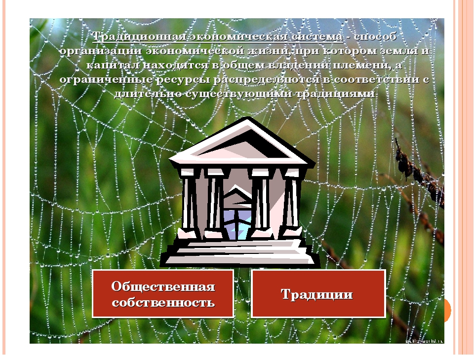 Презентация по обществознанию по теме "Экономические системы"11 класс