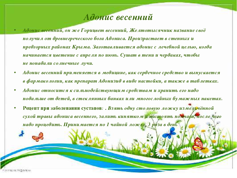 Презентация " Крым - целитель"