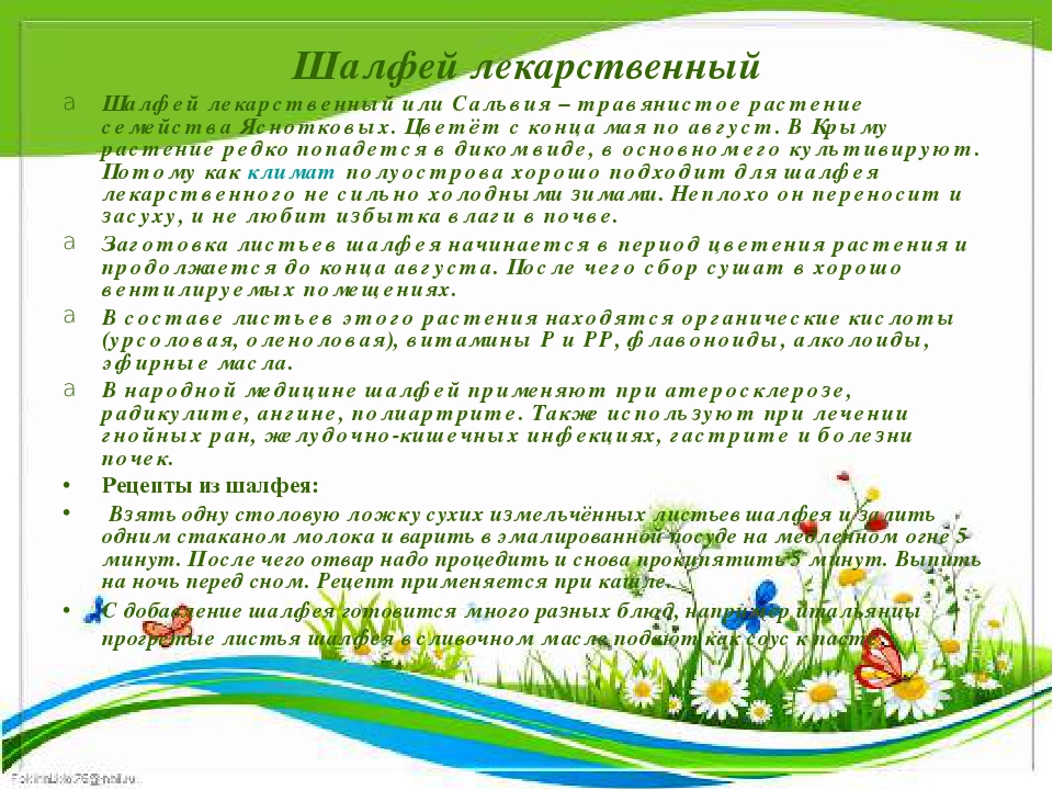 Презентация " Крым - целитель"