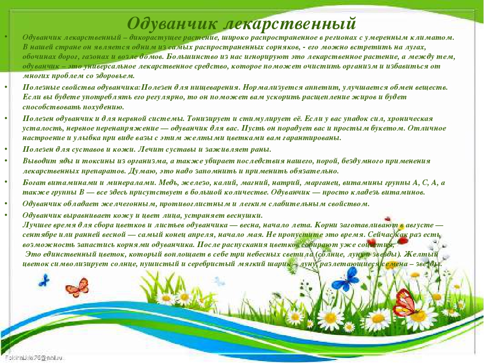 Презентация " Крым - целитель"
