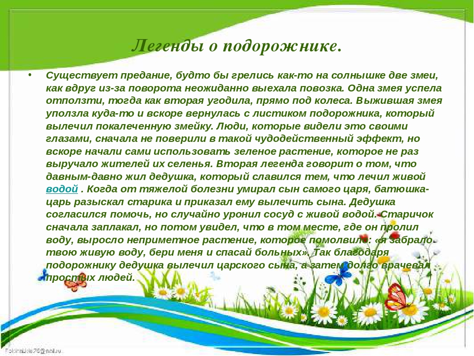 Презентация " Крым - целитель"