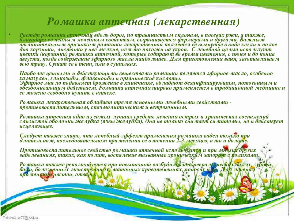 Презентация " Крым - целитель"