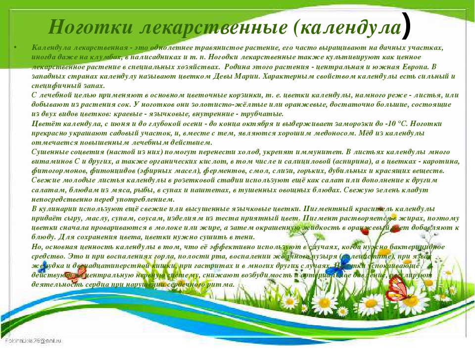 Презентация " Крым - целитель"