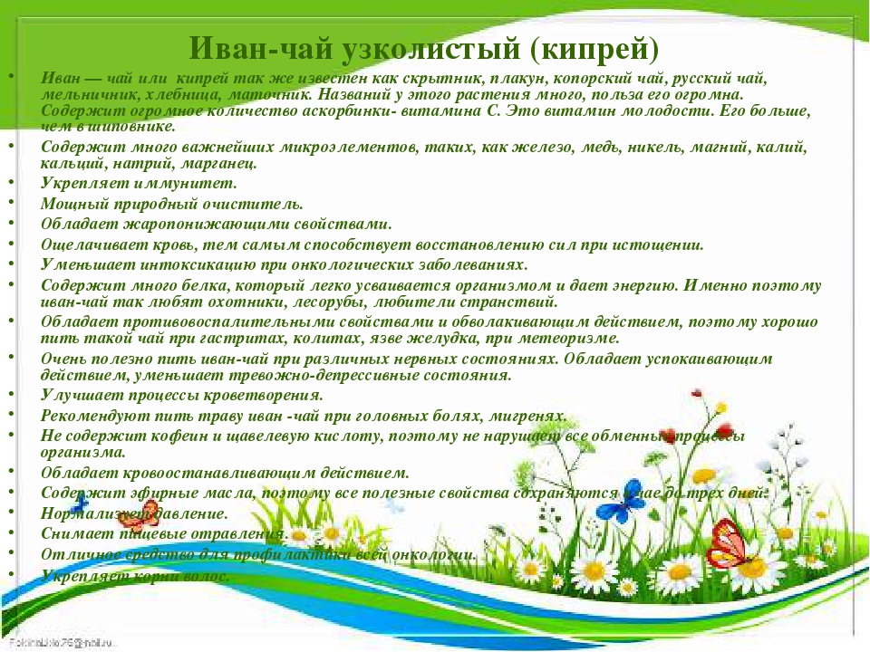 Презентация " Крым - целитель"