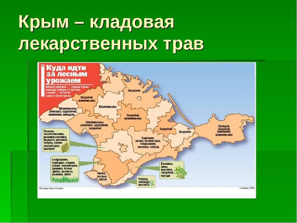 Презентация " Крым - целитель"