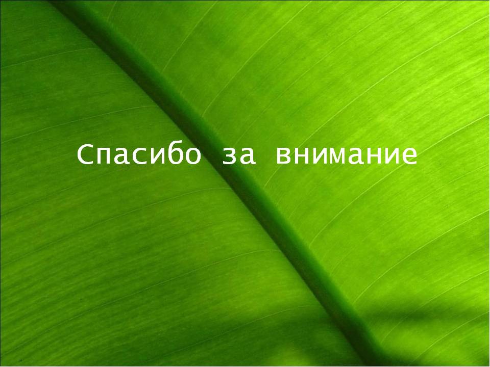 Презентация " Крым - целитель"
