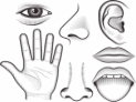 Shape1