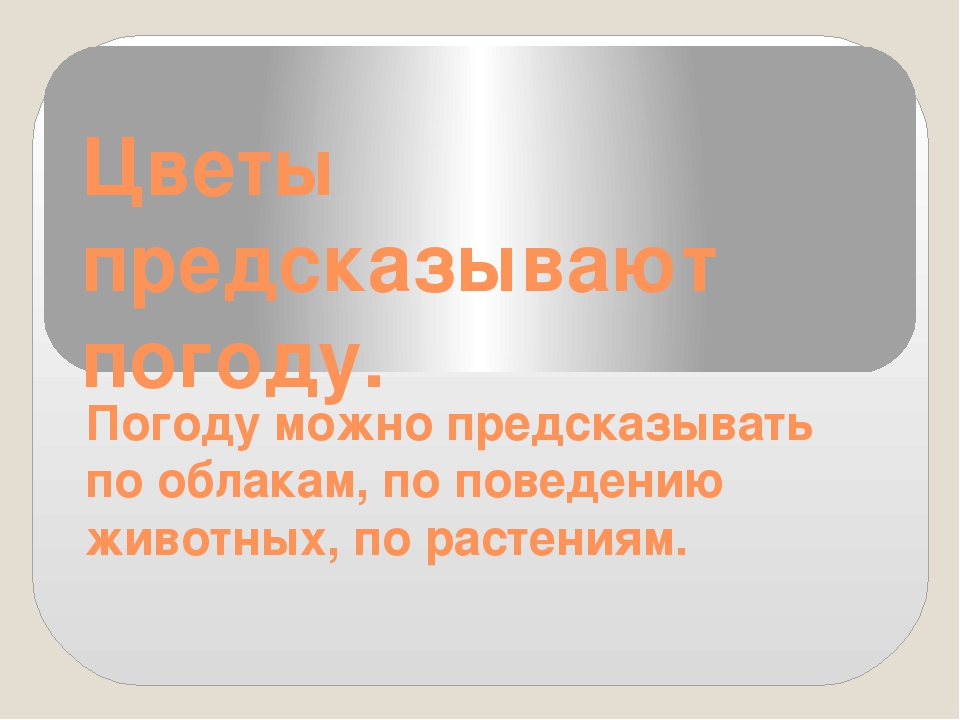 Презентация на тему " ЦВЕТЫ ПРЕДСКАЗЫВАЮТ ПОГОДУ"