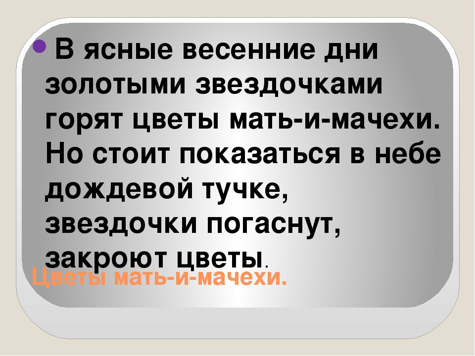 Презентация на тему " ЦВЕТЫ ПРЕДСКАЗЫВАЮТ ПОГОДУ"