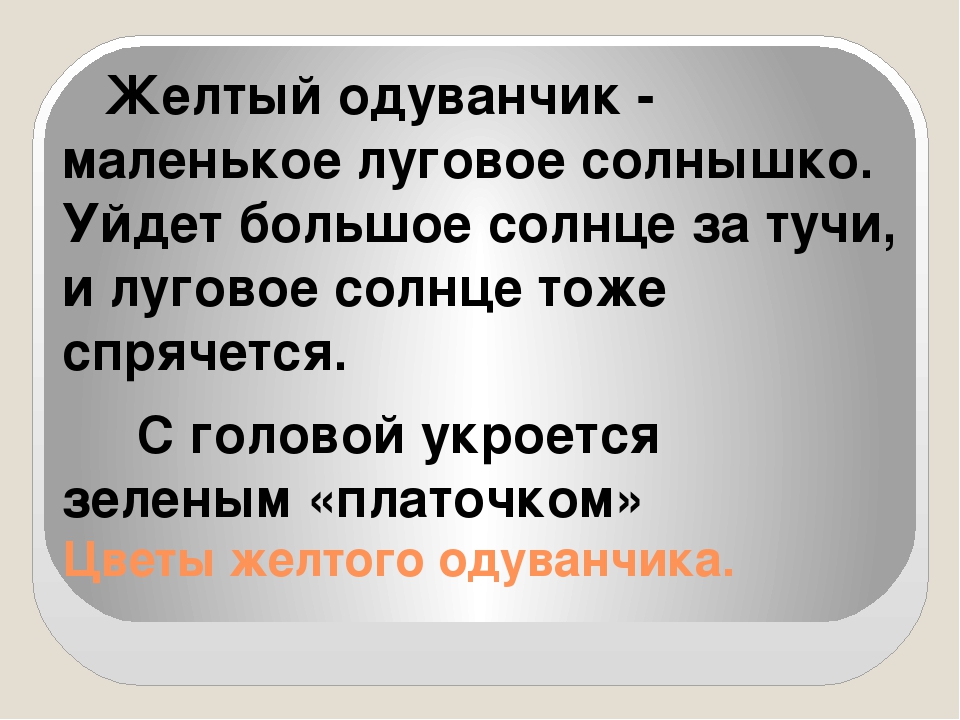 Презентация на тему " ЦВЕТЫ ПРЕДСКАЗЫВАЮТ ПОГОДУ"