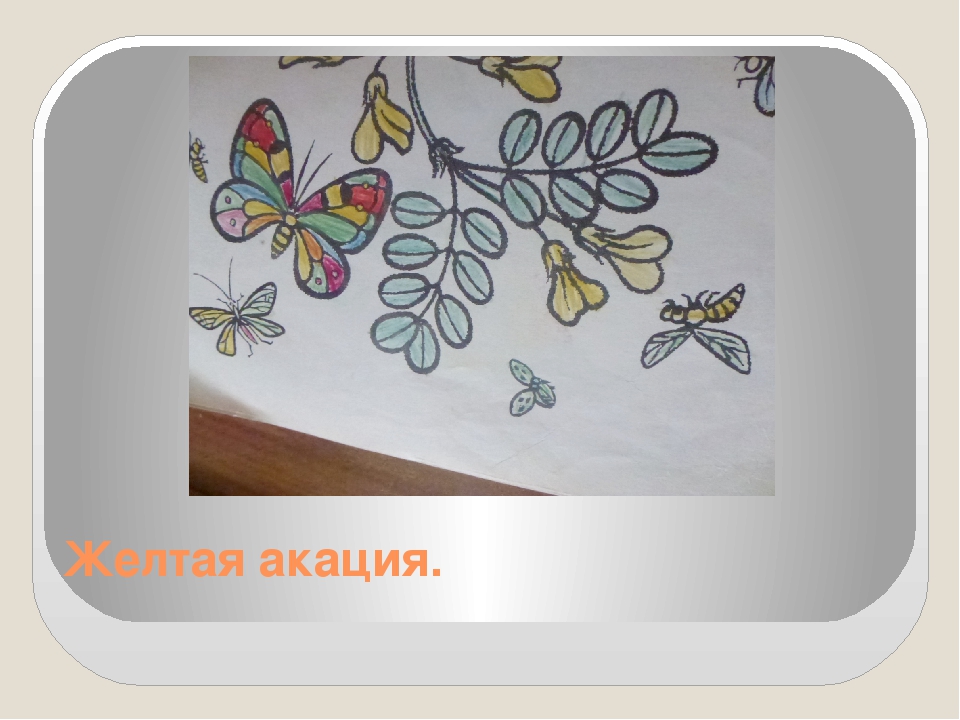 Презентация на тему " ЦВЕТЫ ПРЕДСКАЗЫВАЮТ ПОГОДУ"