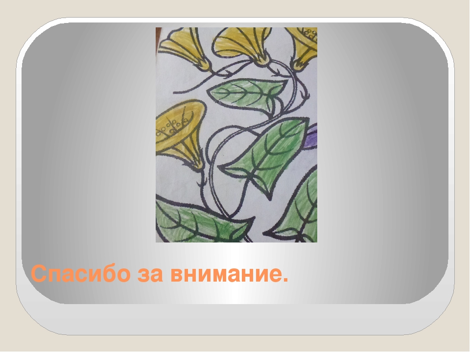 Презентация на тему " ЦВЕТЫ ПРЕДСКАЗЫВАЮТ ПОГОДУ"