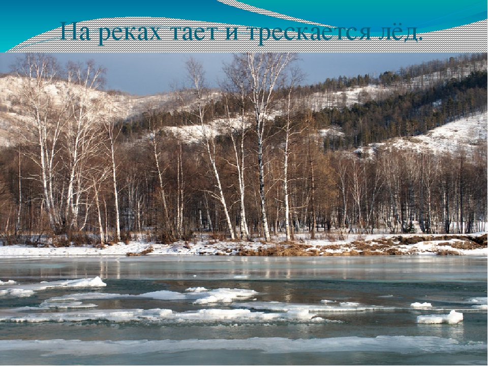 Презентация для детей старшей группы "Приметы весны"