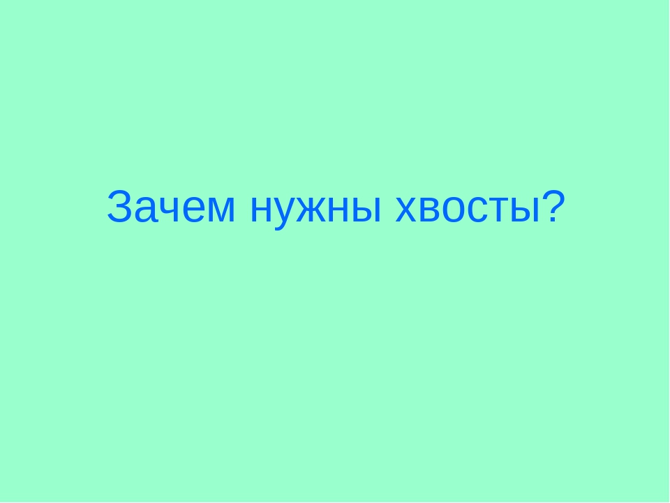 Презентация "Зачем нужны хвосты"