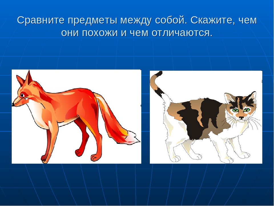 Презентация "Игры на развитие памяти, внимания, мышления"