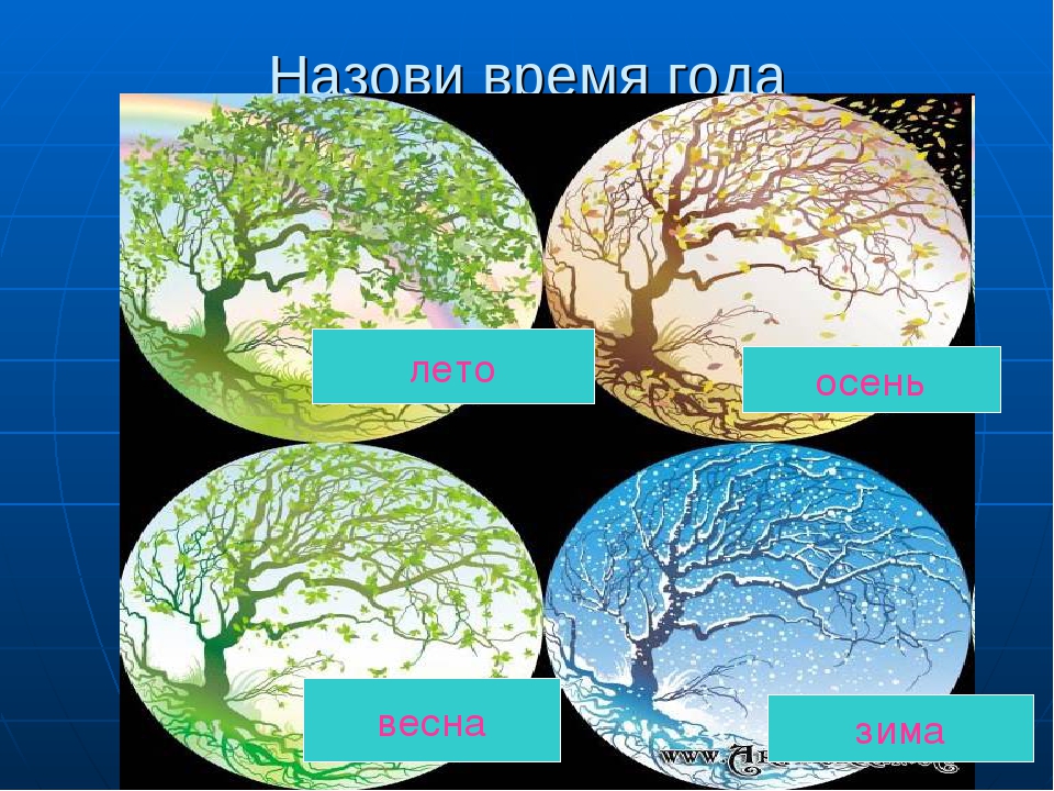 Презентация "Игры на развитие памяти, внимания, мышления"