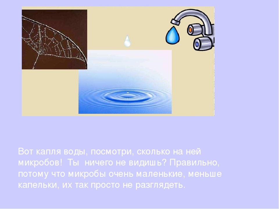 Презентация "Твои первые уроки здоровья. Микробы"