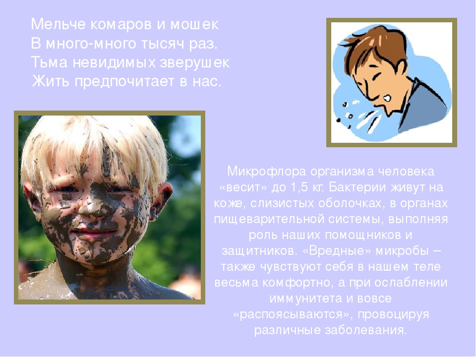 Презентация "Твои первые уроки здоровья. Микробы"