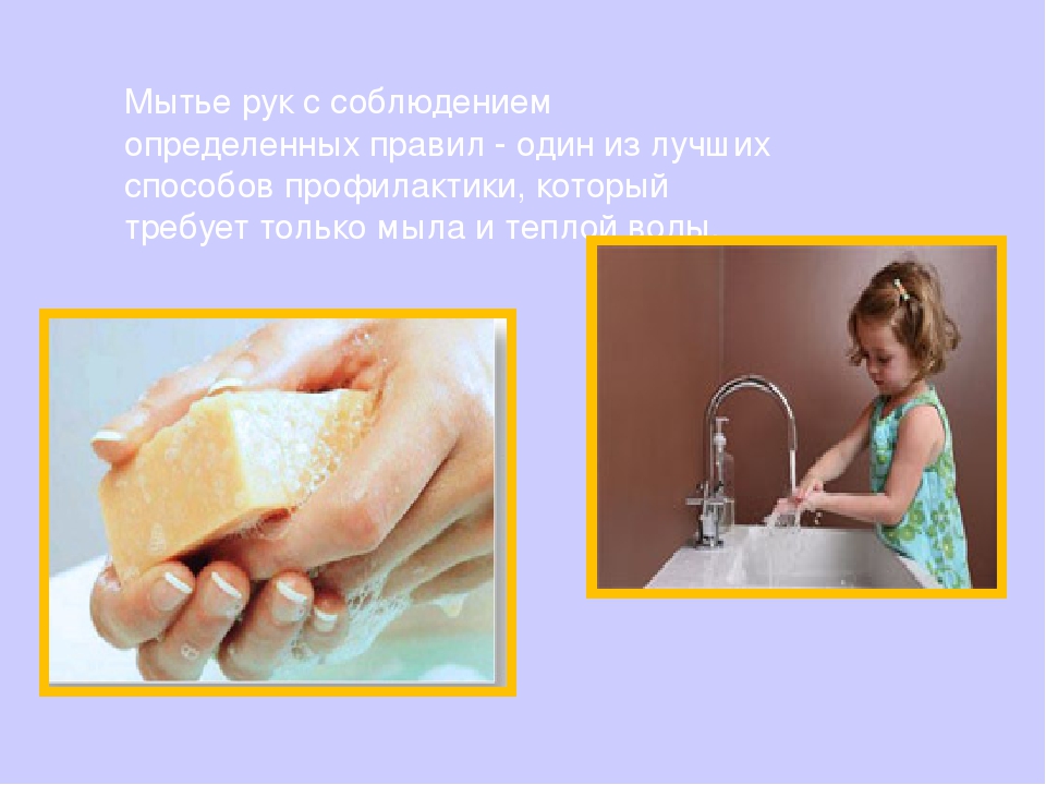 Презентация "Твои первые уроки здоровья. Микробы"