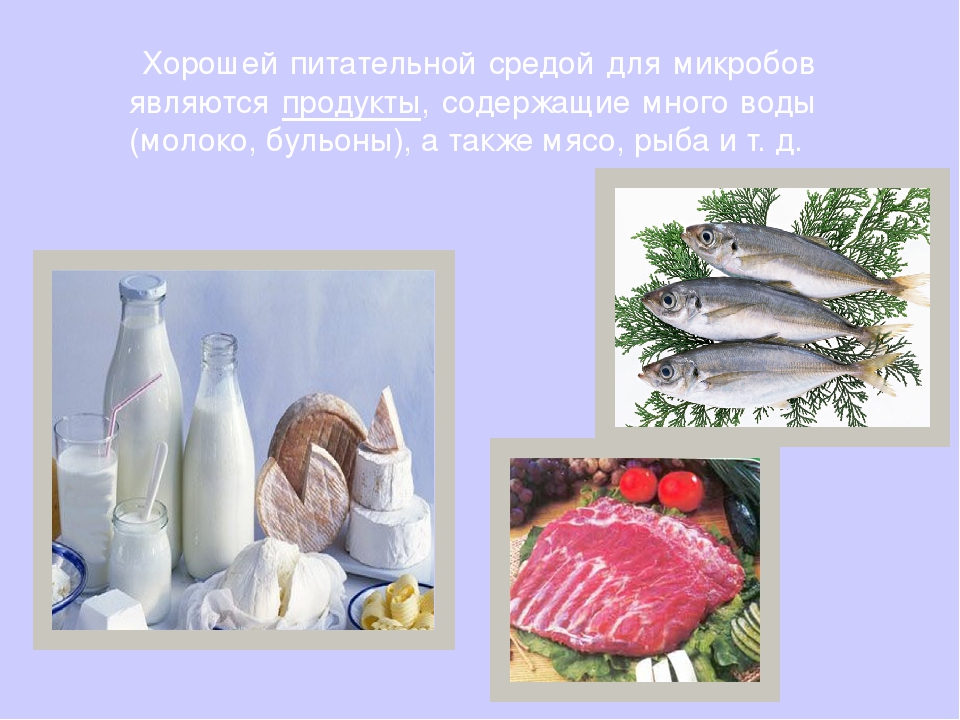 Презентация "Твои первые уроки здоровья. Микробы"