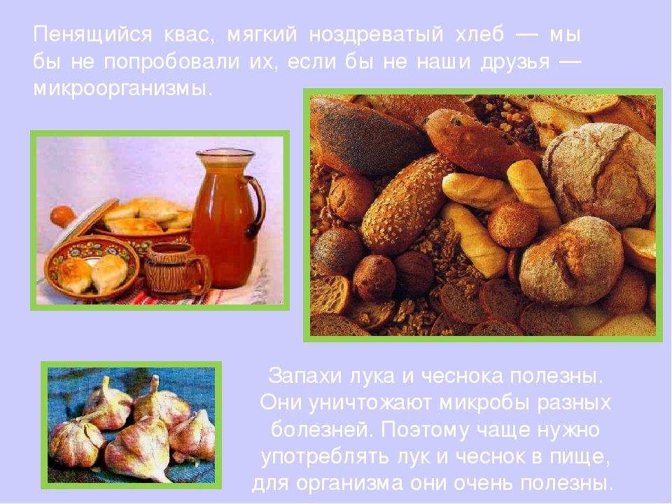 Презентация "Твои первые уроки здоровья. Микробы"