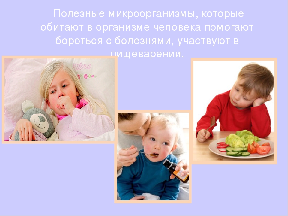 Презентация "Твои первые уроки здоровья. Микробы"