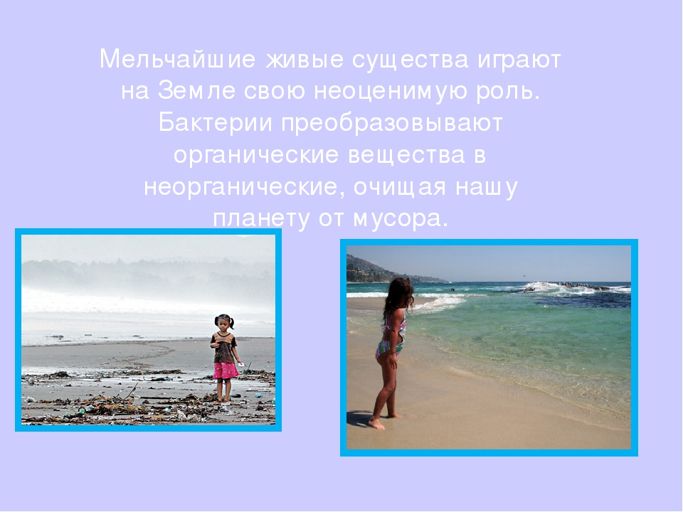 Презентация "Твои первые уроки здоровья. Микробы"