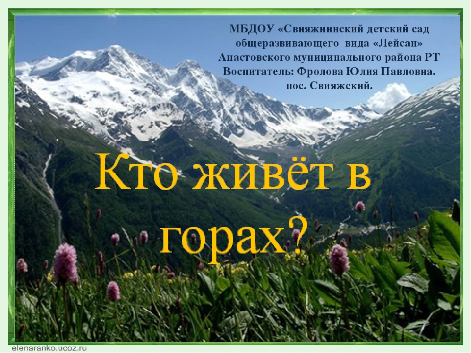 Презентация по окружающему миру на тему: "Кто живёт в горах"