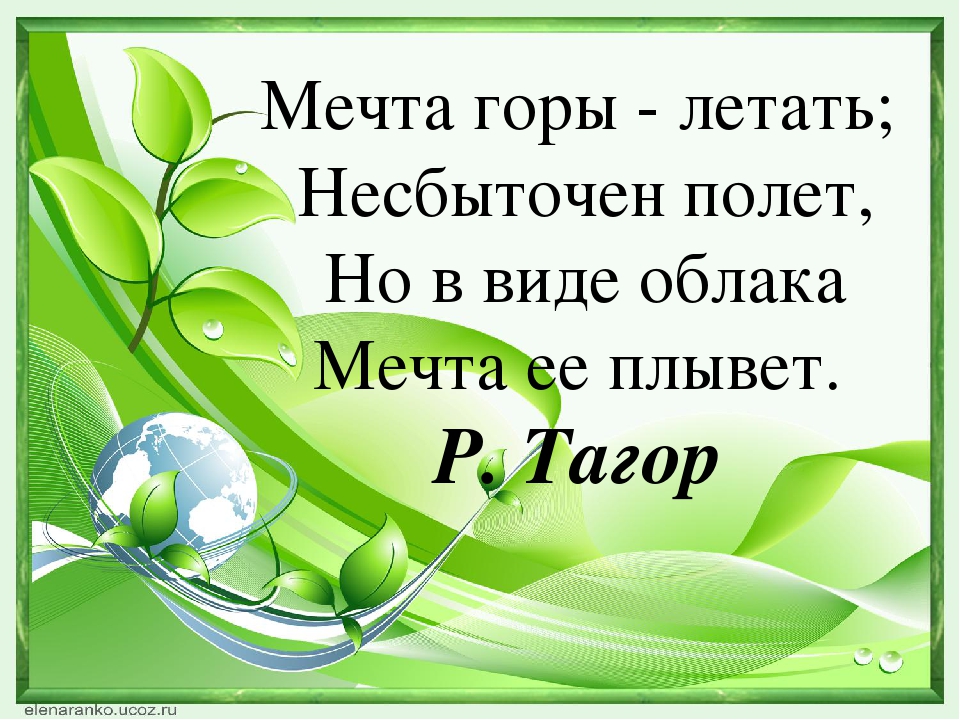 Презентация по окружающему миру на тему: "Кто живёт в горах"
