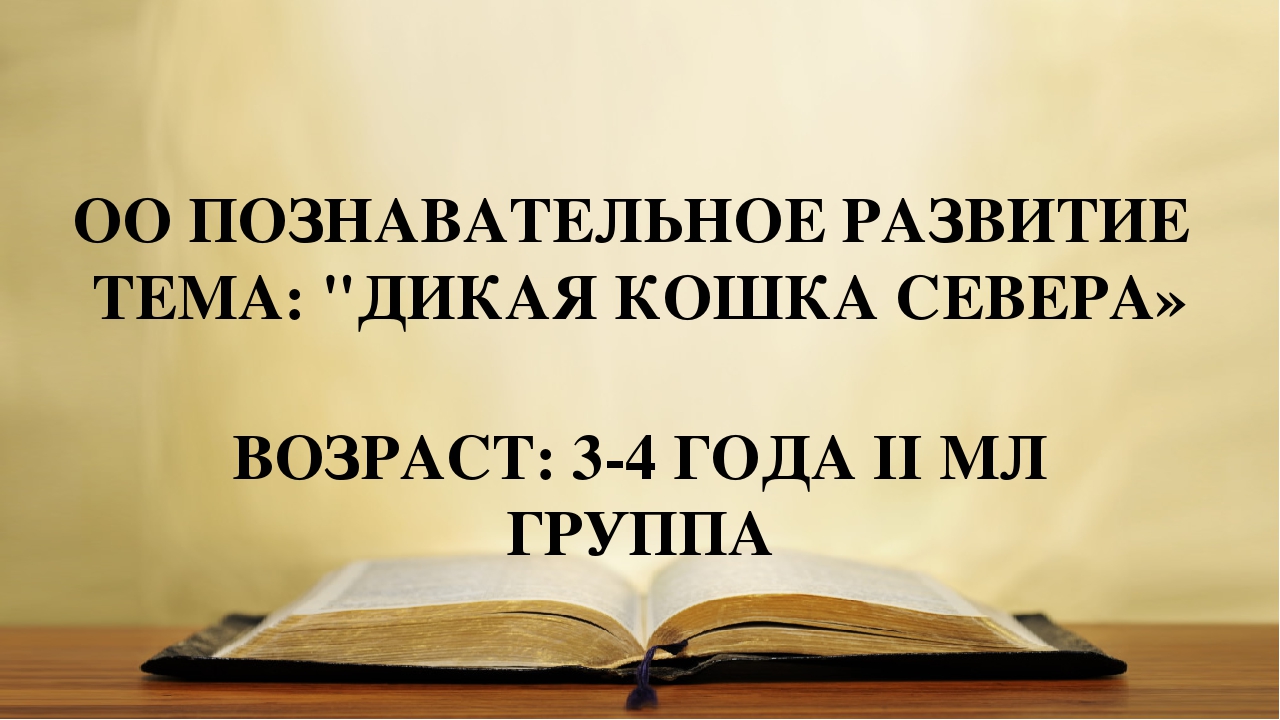 Презентация "Дикая кошка севера"